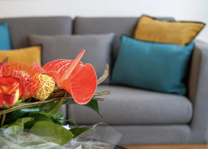 Hyper Centre, Proche Cathedrale Et Gare *