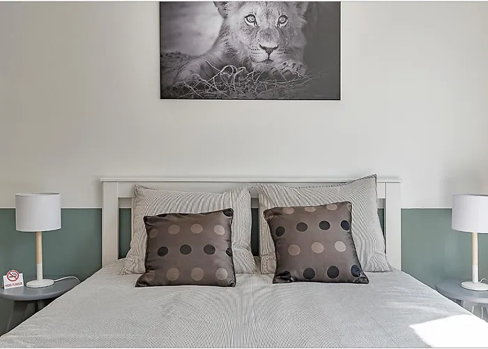 Hyper Centre, Proche Cathedrale Et Gare *